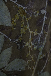 Forest Blue Botanical Print Scarf | Indigenous Cotton | Handwoven & Naturally Dyed - 0013B-SY-HT